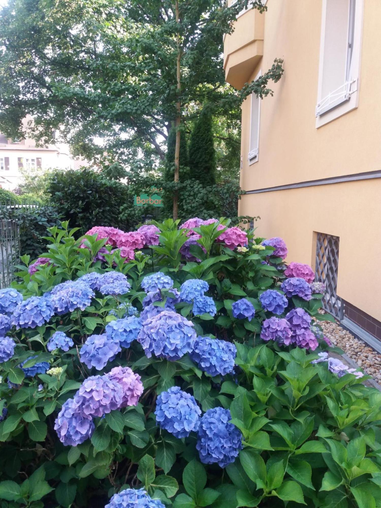 Apartment Barbara Mariánské Lázně Dış mekan fotoğraf